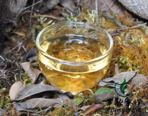 2007 Xiaguan Te Ji Tuo Cha Premium Grade Puer Tea Green Puerh Tea Shen Tuo Pu-er Raw Tea