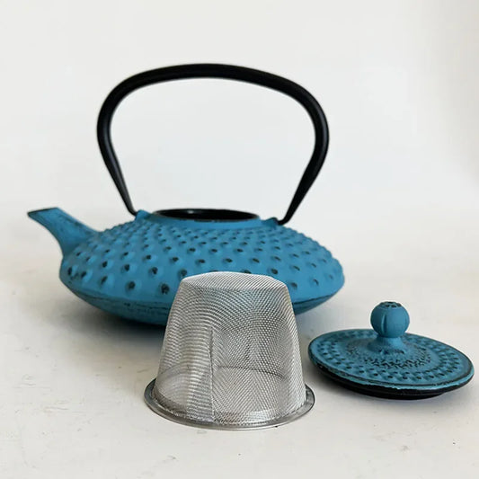 Blue 450ml Small Cast Iron Teapot With Strainer Tetera Tetsubin Tea Kettle Tea Maker For Boiling Water Decoration Ornament