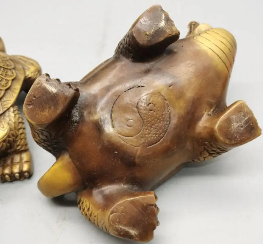 China brass dragon turtle crafts statue A pair
