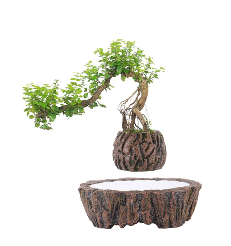 Magnetic Levitation flowerpot Suspended Plants Potted plants for home decoration Ornaments
