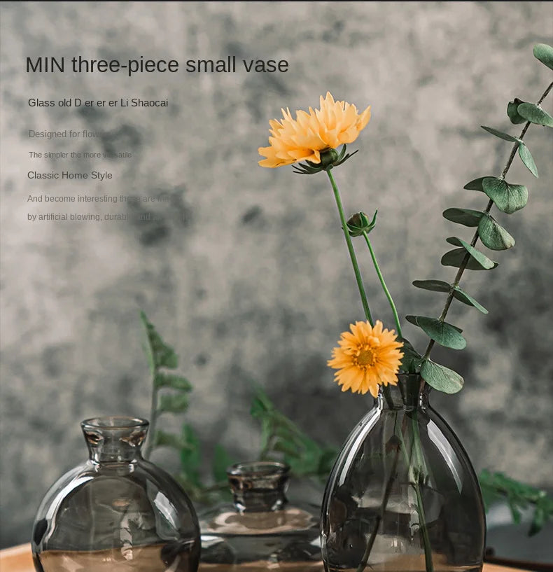 3Pcs Classic Creative Vase Top Quality Grass Black Transparent Home Deco Reagent Bottle Flower Vase Factory Wholesale
