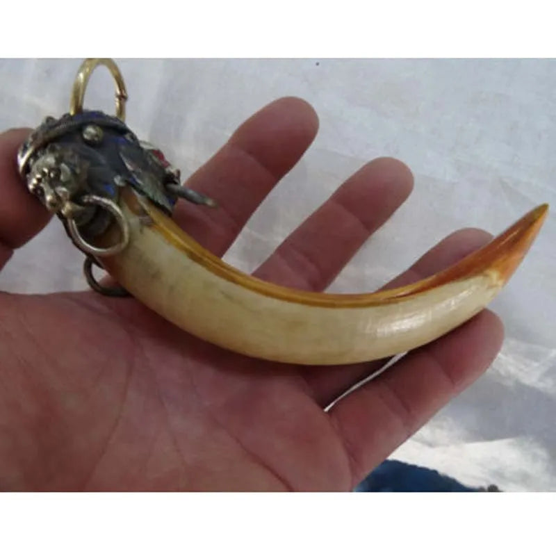 Chinese Antique ward off bad luck Tibetan silver Beast head inlay tooth talisman big Pendant