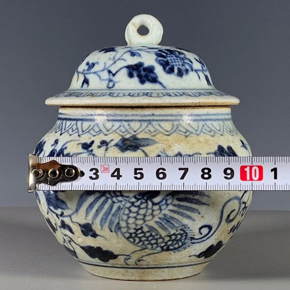 Old Chinese Blue and white Porcelain qing Dynasty hand painted Jar pot