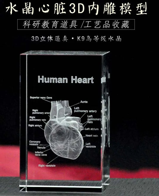 TOP COOL BEST GIFT - Medicine Medical Science Internal medicine Doctor heart Figurine 3D Crystal decorative art statue