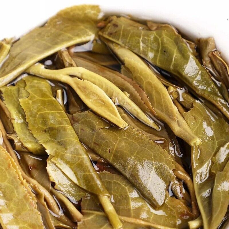 2019 20th year Old Comrade 191 Haiwan Classic 7548 Raw Puer pu erh er Cake 357g