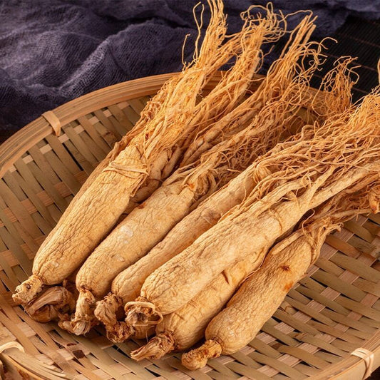 Recommend Dried Organic Ginseng Roots Dried Ginseng Root White Ginseng Roots