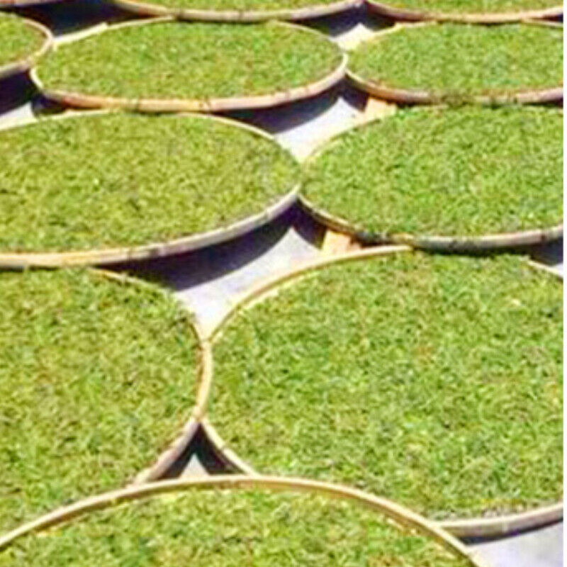 500g Shou Mei White Tea Healthy Tea High Quality Bulk Old Stem White Tea