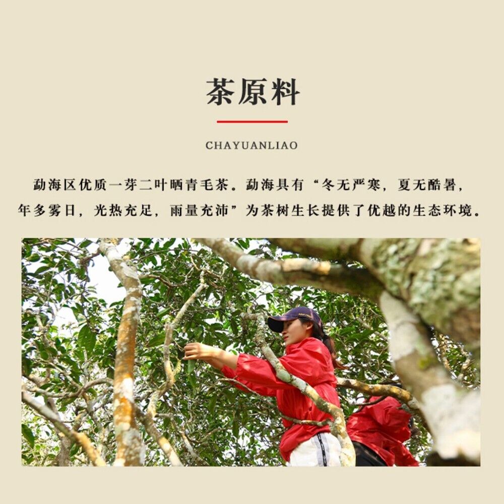 Pu-erh Puerh, 2020, Can XingKeyixing, Jie, Take a bite, 357g, Cooked