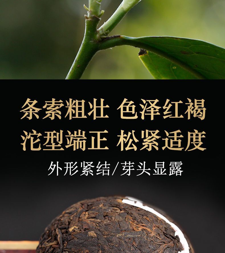 Pu-erh Tea Pu'er Mature Puer Tea Can 100g DALI Tuocha Yunnan Xiaguan Shu-