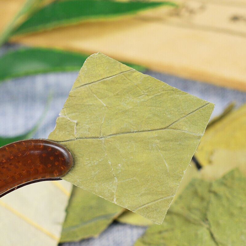 50g/250g Dried Lotus Leaf Organic Healthy Herbal Tea Ganheye Health 干荷叶