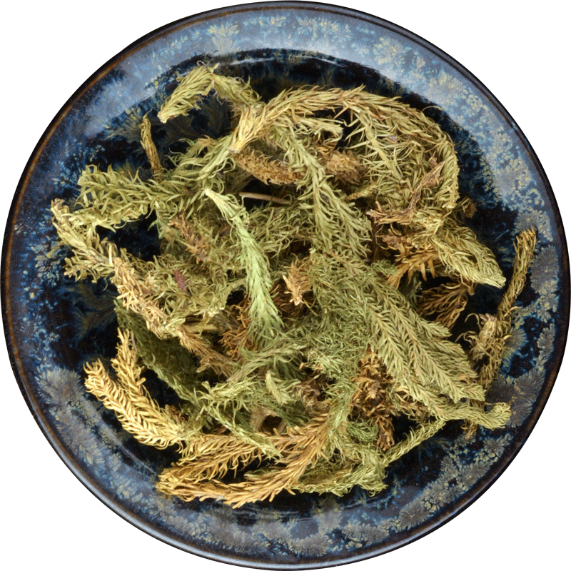 500g Organic Loose Leaf Shenjincao Herbal Drink Tendongrass Natural Herbal Tea
