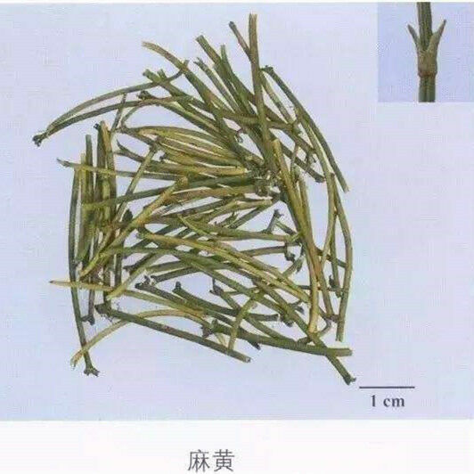 Herbal Tea Mohueng Green Tea Natural Muhueng Tea50g~1.5kg Raw Herbal Tea-