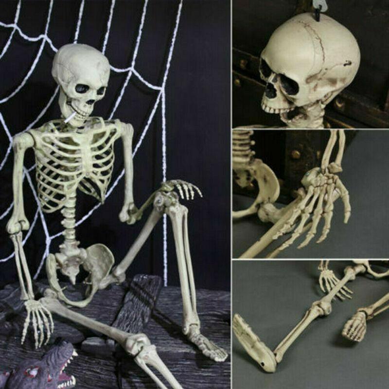 Esqueleto Poseable Tamaño Completo De La Vida Humana Halloween Decoración Fiesta