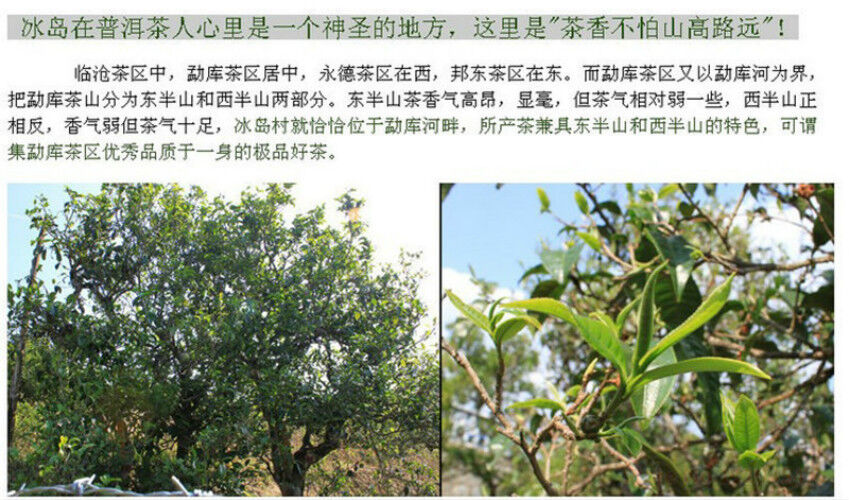100g China Yunnan Graet Brick Ripe Pu Er Tea Older Puer Tea Ancestor Health Care