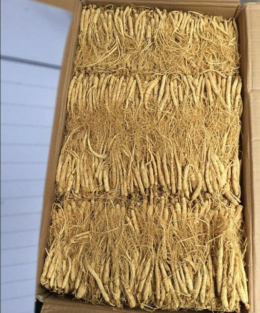 Dry ChangBai Mountains Wild Ginseng Root Transplant Wild Ginseng roots