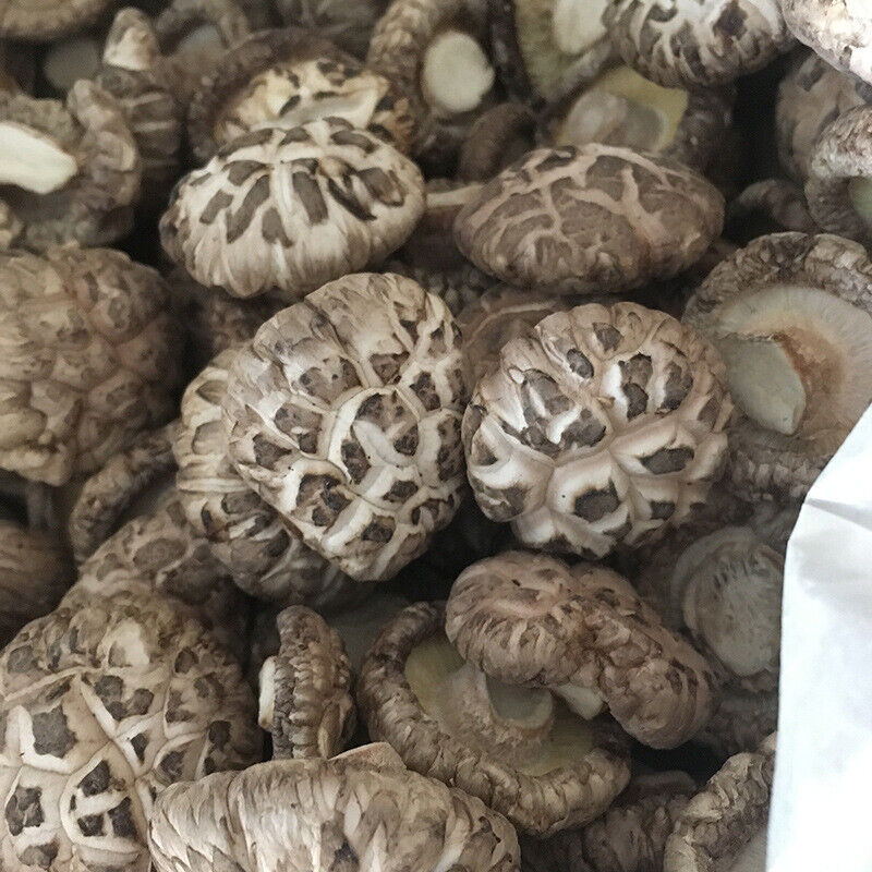 250g Premium Dried Tea Flower Mushroom Chinese Herbal Edible Fungi Bag Package