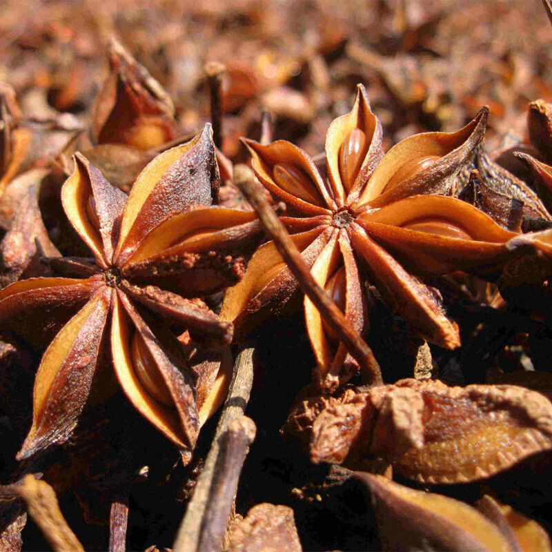 100g~500g China Kitchen Cooking Food Hot Pot Seasoning Spice Star Anise Aniseed