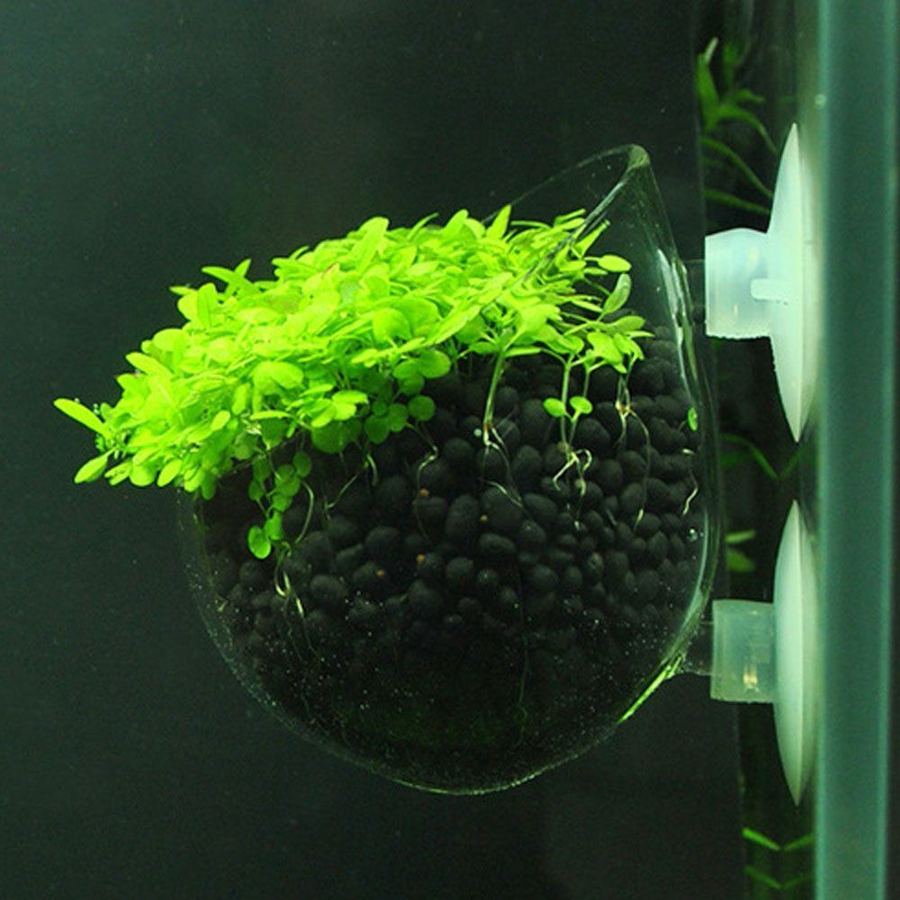 500g Aquarium Plant Seed Soil Fish Tank Accessories Decoration Aquatic Grass Mud