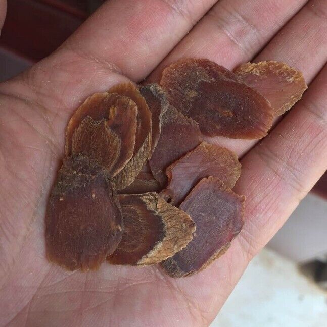 6-year-old Panax China Mountain Red Ginseng Root Tablets China Herbal Health Care-