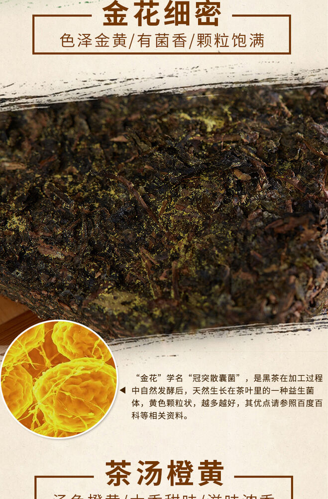 Hunan Fu Tea Fucha Special Made Yiyang Anhua Dark Tea Hei Cha Fu Brick Tea 300g