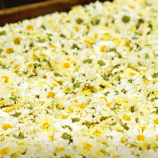 150g Natural Health Herbal Flower Tea Original Hang Bai Ju 西湖牌 杭白菊 菊花茶凉茶 可搭配枸杞