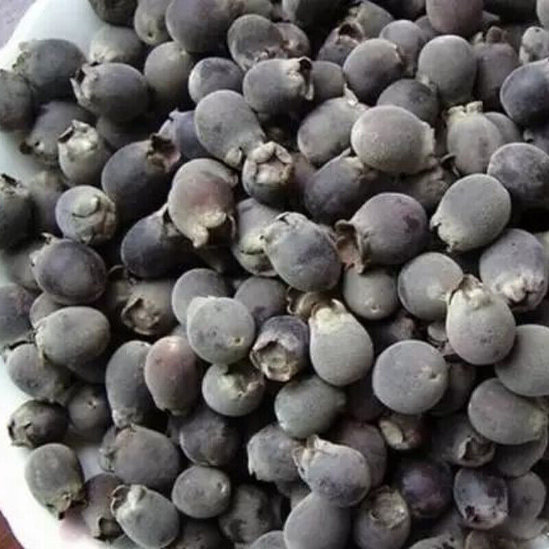 Dried Rhodomyrtus Tomentosa Fruit, Dried Herbal Tea 稔子酒 桃金娘