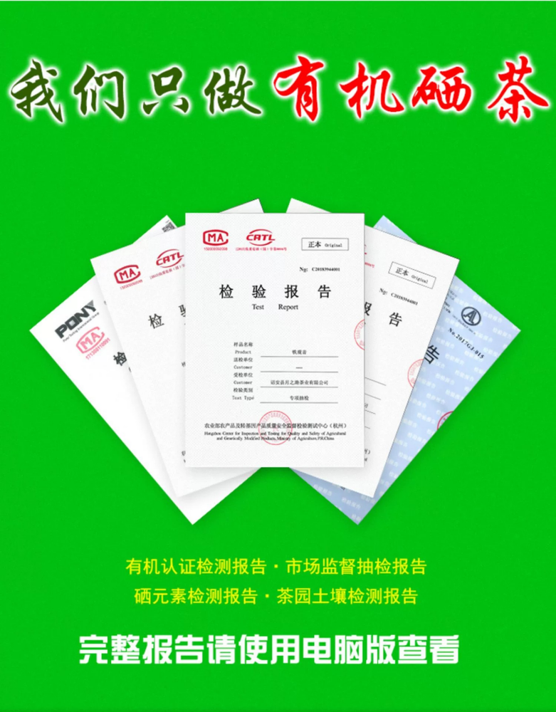 500g white leaf single fir spring tea 富硒有机茶叶炭焙单丛茶茶蜜兰香白叶单枞春茶