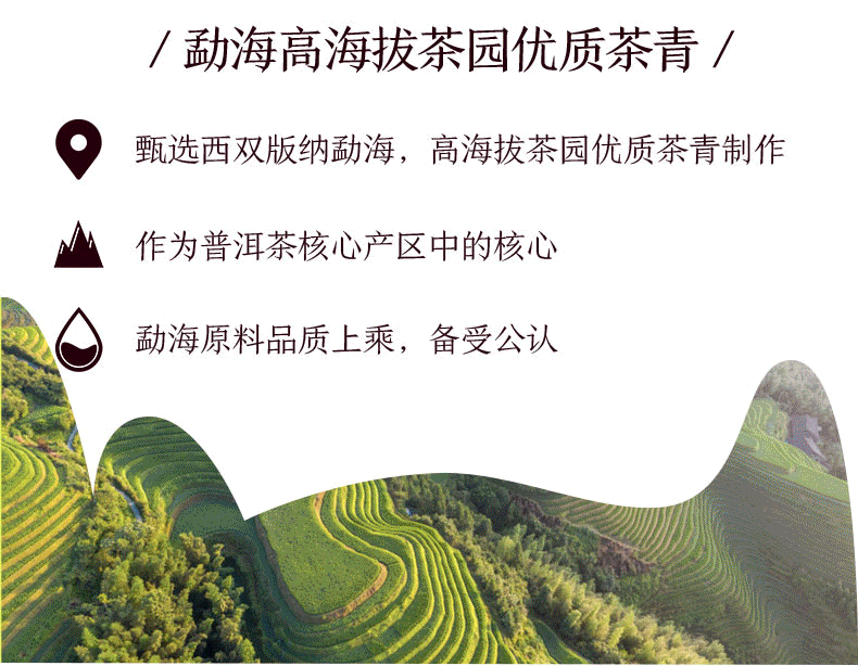 2021 CHINA TEA 7541 Classic Puer Raw Puerh Tea 150g ZhongCha Liushan Tea Boxed