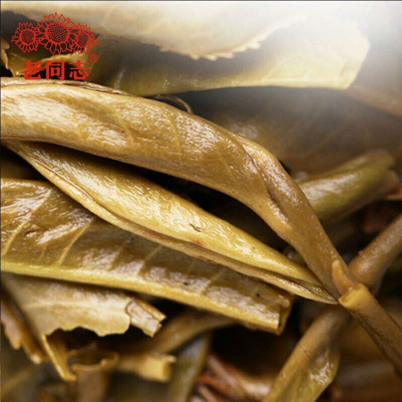 500g Premium Haiwan Pa Sha Ancient Tree Raw Puer Tea Aged Tree Sheng Puerh Tea