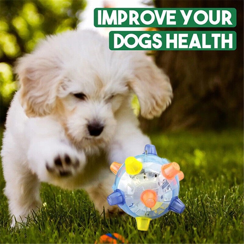 Pet Toys Jumping Activation Ball LED Flash Music Dance Dogs Funny Toy Durable HE