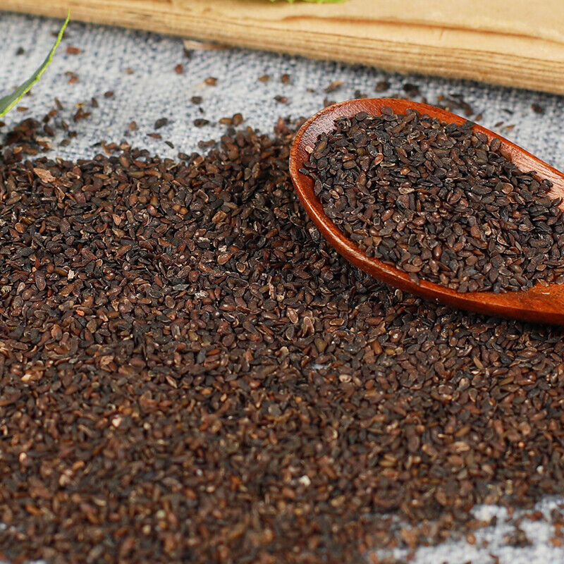250g/500g Premium Psyllium Organic Healthy Herbal Tea Cheqiancao 特级车前子