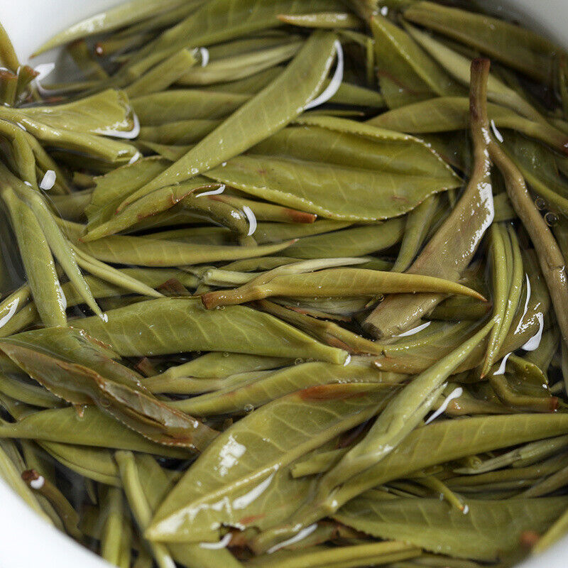 2023 Green Tea Silver Silk 2023年早春绿茶银丝新茶 云南滇绿500g