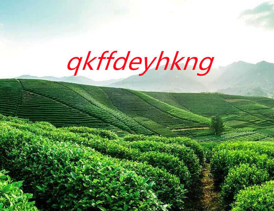 New Spring Tea High Fragrance Green Tea 新春茶高香绿茶绿茶高山云雾炒青茶1斤 500g