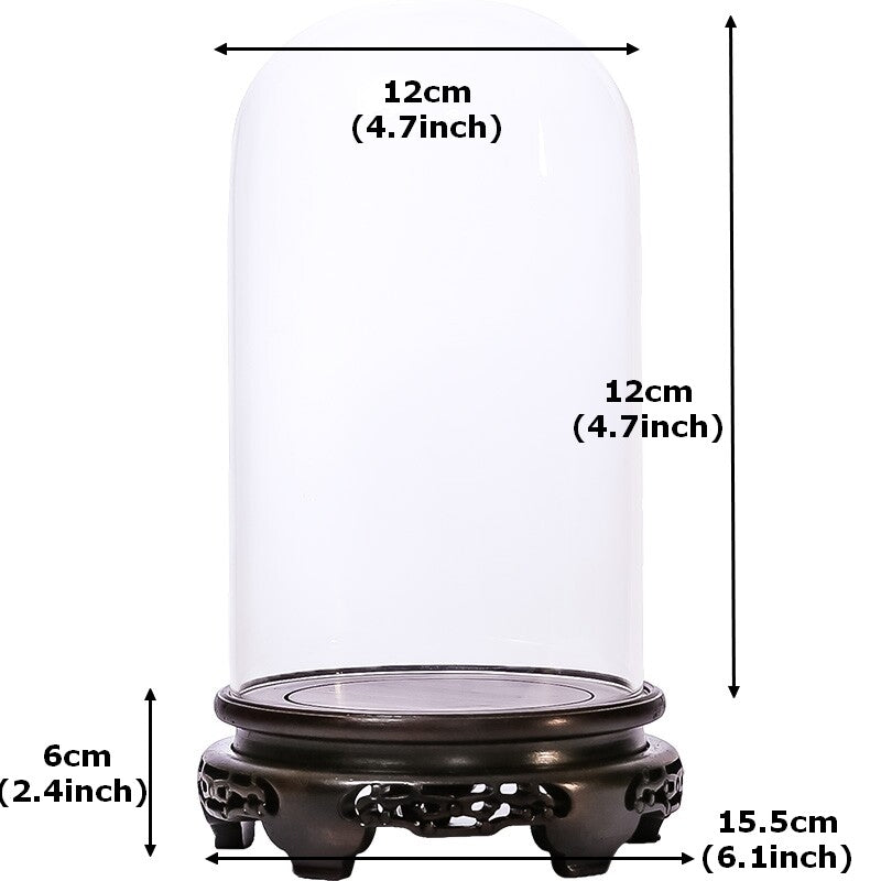 New Glass Display Dome Ebony Wood Base Case Cloche Globe Cover Protection Decor