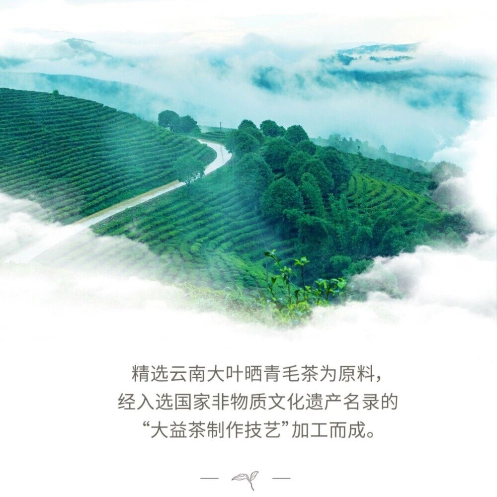 Pu'er tea, 2021, overseas Chinese gift, 357 grams, raw