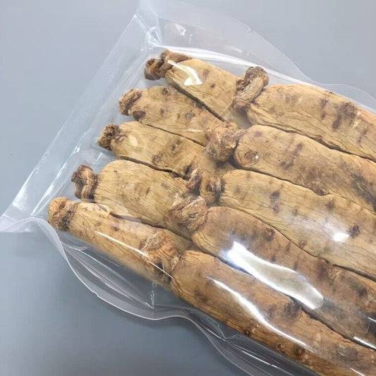 Korean Ginseng Root Offer 6Years Changbai shan Dry Ginseng Root 黄皮高丽参 600g/20pcs