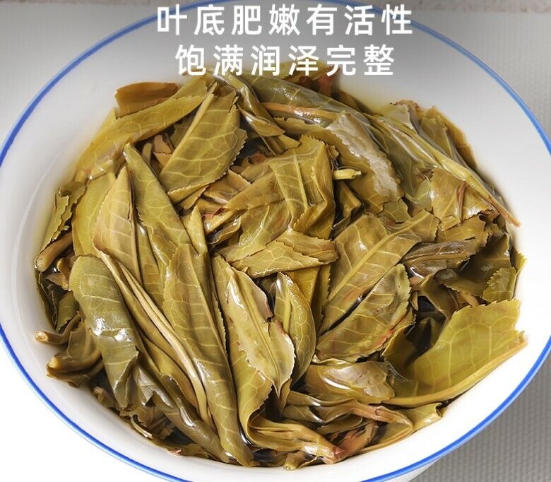 BingDao LinChang ancient puerh beeng tea Raw pu'erh tea Spring Uncooked pu-erh