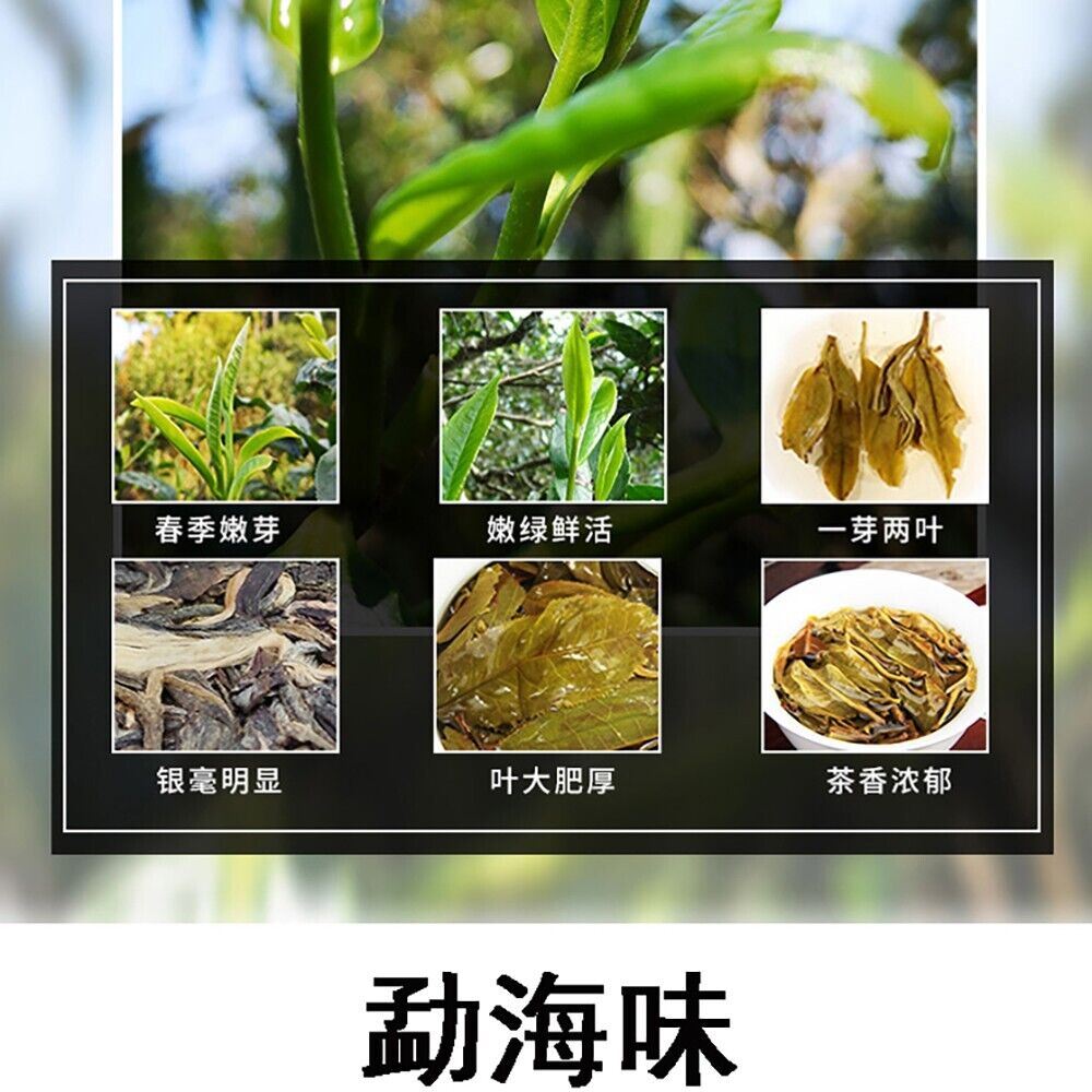普洱茶,2015,早春茶 早春茶,357克,生的