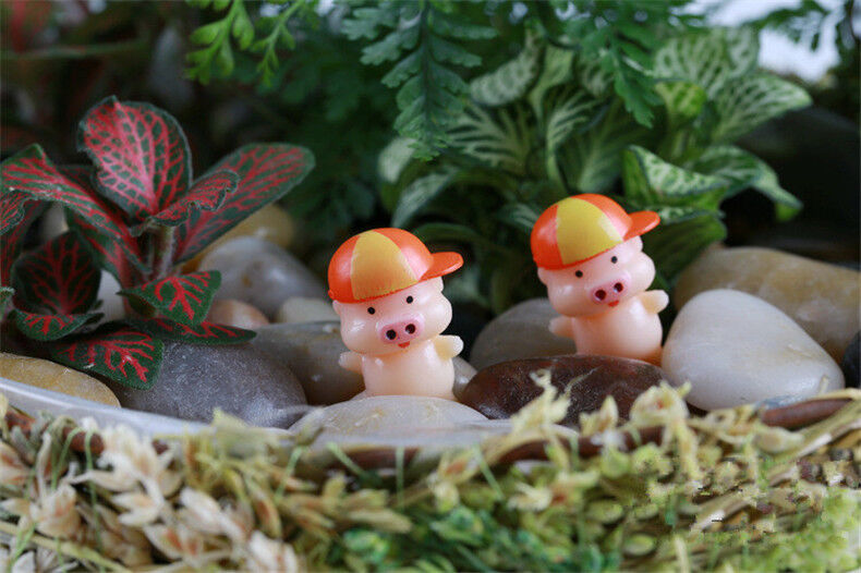 6pcs Mini Piggy Miniatures Garden Bonsai Lawn Ornament Decoration DIY Figurines