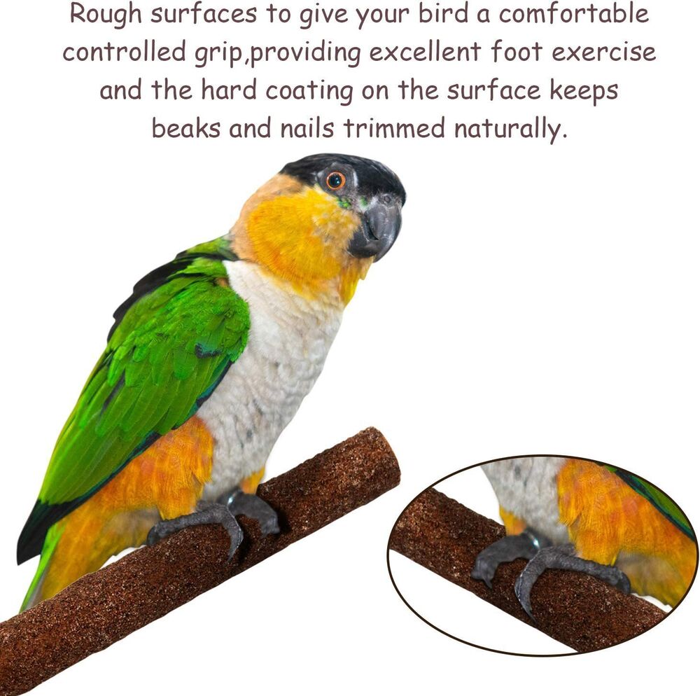 6 Pack Birdcage Stands Bird Platform for Cockatiels Perch Lava Ledge for Birds