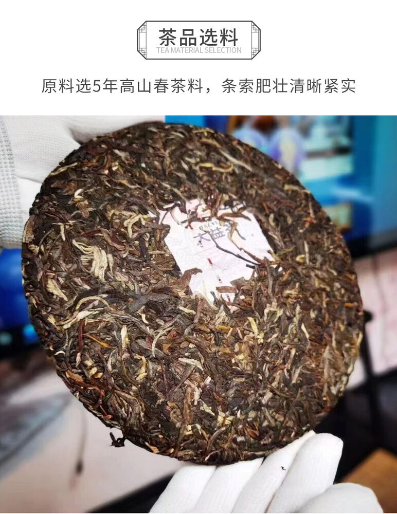 Dragon Pillar Yuan Cha * 2022 TAETEA Menghai Dayi Pu-erh Tea Raw Pu'er Tea 357g