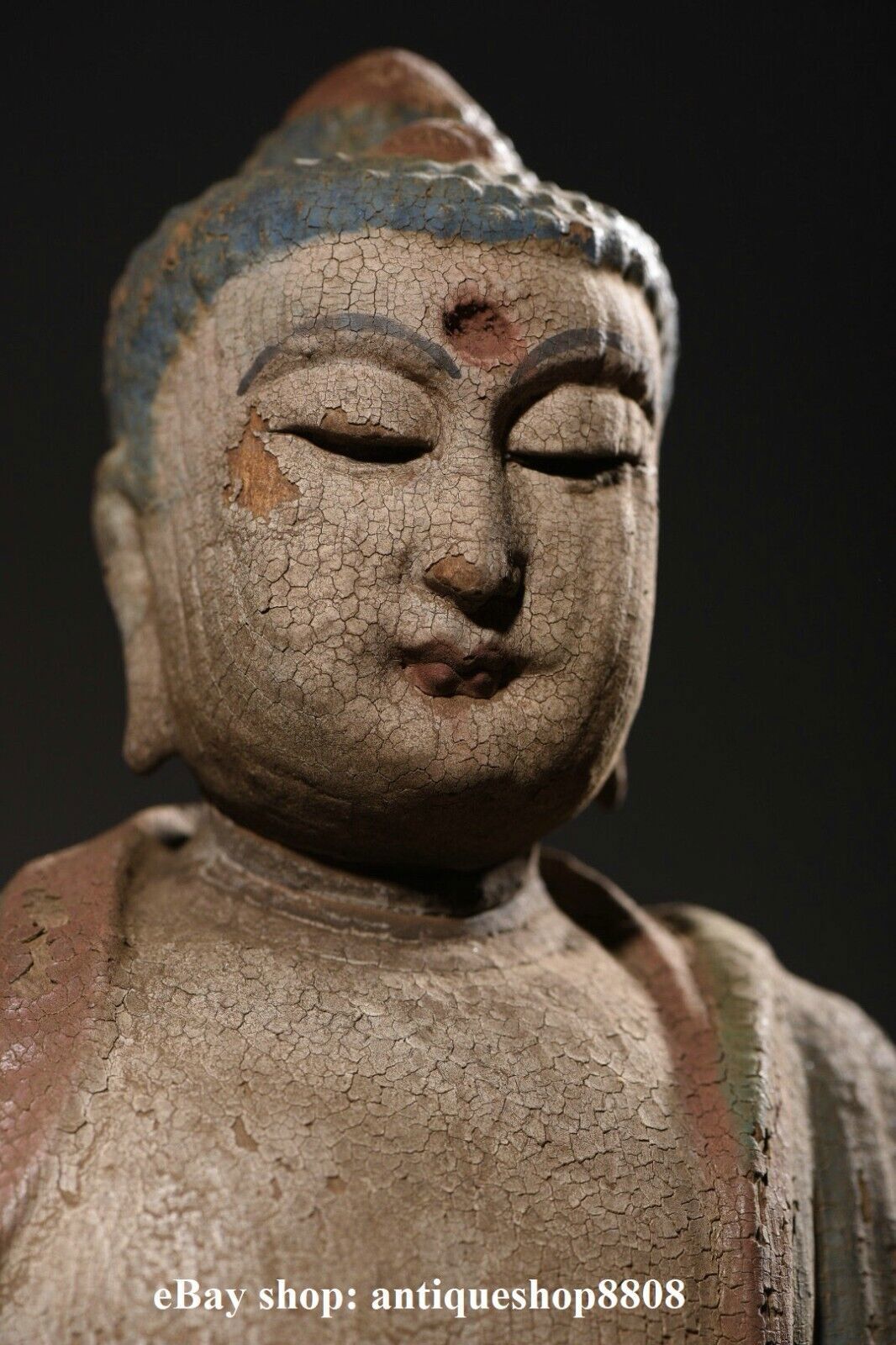 10" Tibet Buddhism Wood Carved Shakyamuni Amitabha Buddha Sakyamuni Statue S05