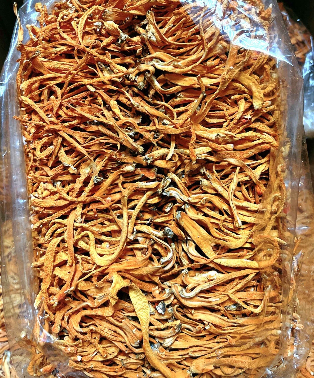 Premium High Quality Cordyceps Flowers 粗排特級蟲草花 Free Worldwide AIRMAIL