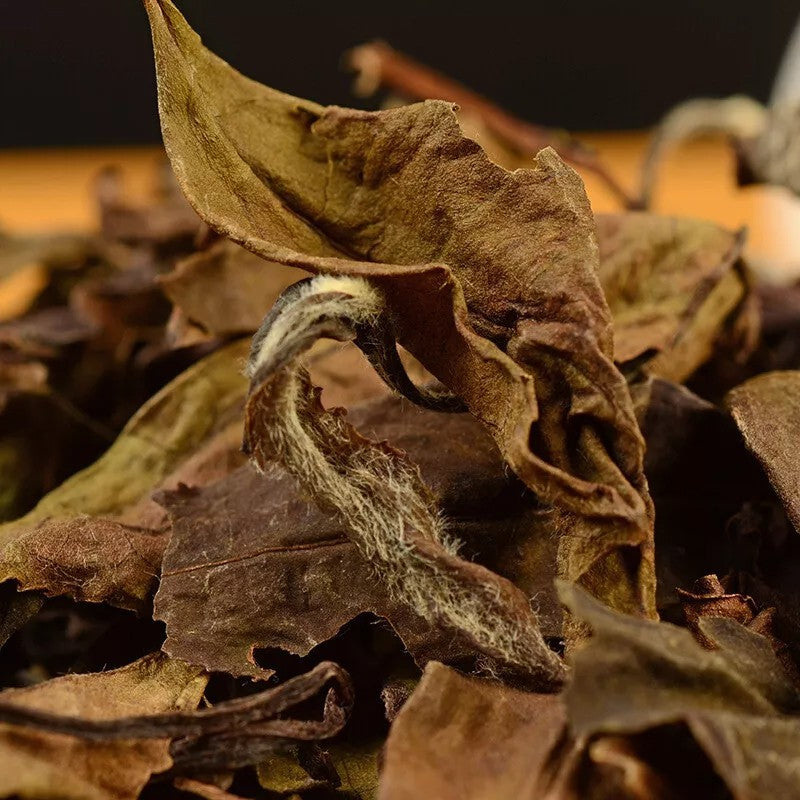 700g White Tea Cake Organic Premium Aged Fuding Shou Mei Long Life Eyebrow Tea