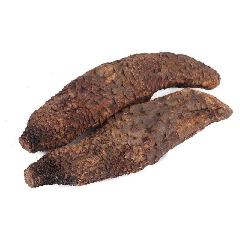 500g/1000g Natural Sinkiang Desertliving Cistanche Herb Wild Tonic Rou Song Rong