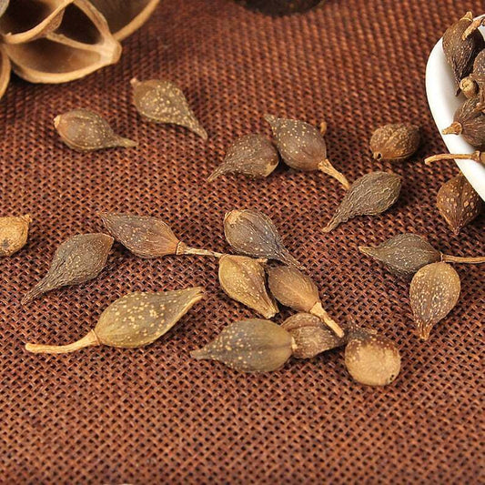 Organic Dried Weeping Forsythiae | Fructus Forsythiae | Lian Qiao