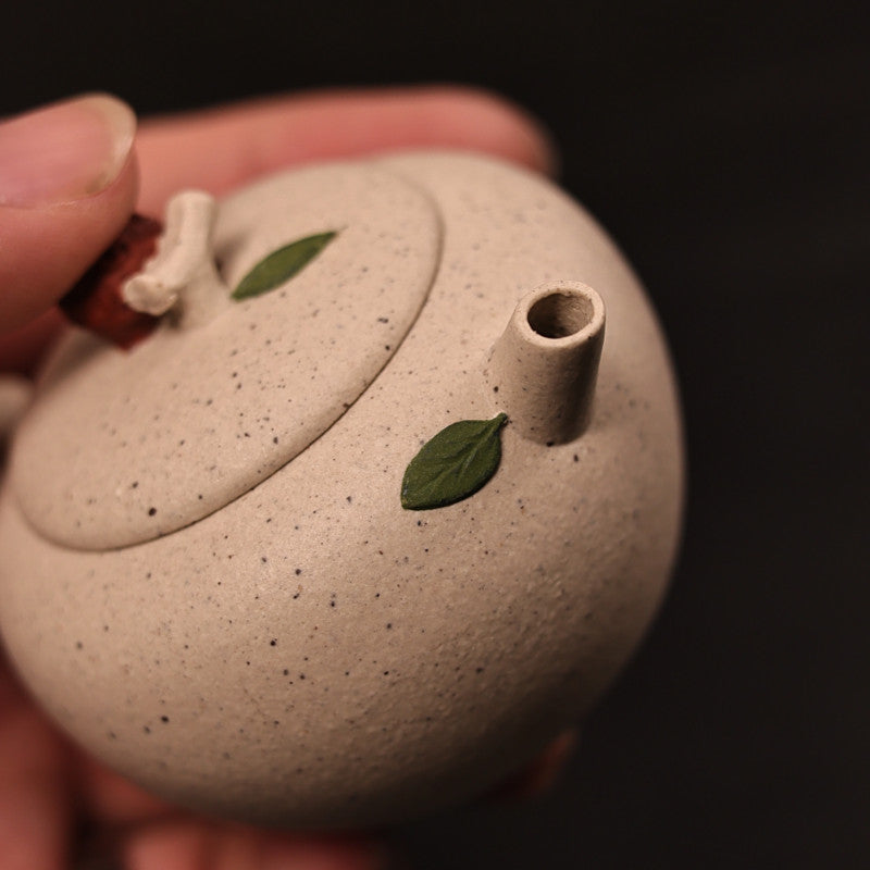 90cc Yixing Handmade Zisha teapot white Duan Clay Lychee Gongfu hu Tea pot