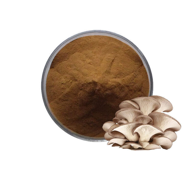 100g~500g Organic Maitake Mushroom Extract 30:1 Powder