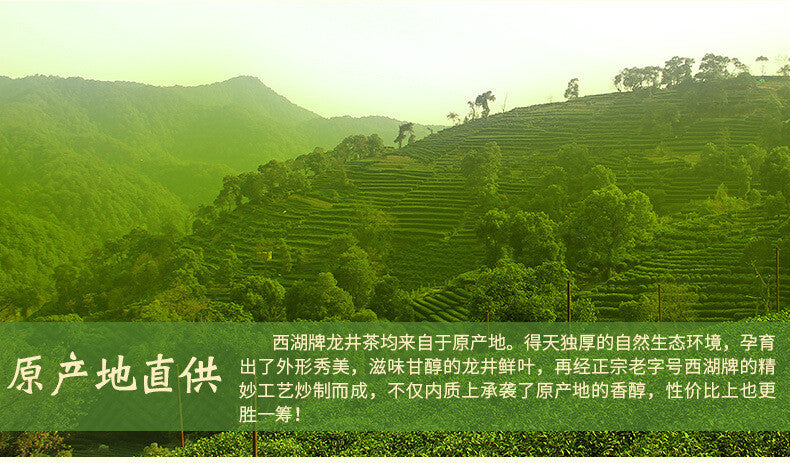 West Lake Brand Rainbow Strong Fragrance Longjing Tea Single Bag 100g