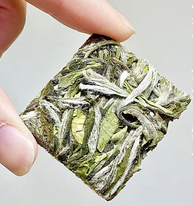 Authentic Fuding White Tea Mingqiantou Premium White Peony Small Square Tea